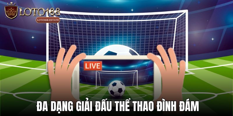 Thể Thao Sbobet - Khám Phá Sảnh Cá Cược Thể Thao 2026 3 Vì sao nên cá cược tại sảnh thể thao Sbobet?